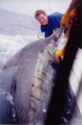 Tim Corbett an his 110 Kg Striped Marlin on a “Evil Little Donger” lure.