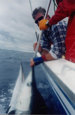 Randall Harrison, 12.15 pm 22.3.03, Est. 80 Kg Striped Marlin on “Pink Evil” “Chook” lure.