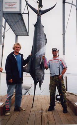 Michael Clarke and Matt De Ru, 130 Kg Blue Marlin captured using a “Pink Evil” “Chook” lure.