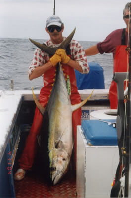 Dave Venn aboard Reel Quick captured a 46.4 Kg Yellowfin on a Lumo Little Dingo lure.