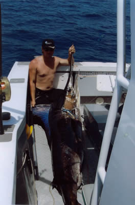 Aboard vessel Pelagic, Mark Webber and his 96 Kg Striped Marlin . Used a “Little Ripper” Lure.