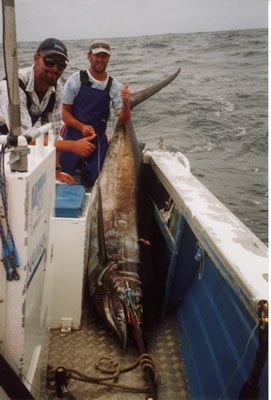 ANGLER: Dave Venn. SPECIES: Blue Marlin. WEIGHT: 225 Kg.