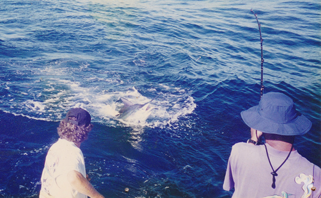 Dave Venn about to tag a nice little Jervis Bay striped marlin for Rod Norford on "4 Play" January 1999.