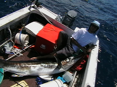 ANGLER: Stephen Zalewski SPECIES: Striped Marlin WEIGHT: 80 Kg