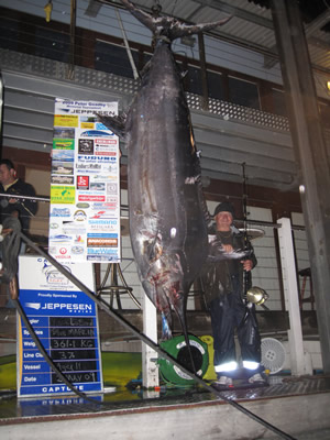 ANGLER: Vince Losord SPECIES: Blue Marlin WEIGHT: 361.1 Kg TACKLE: 37 Kg LURE: J.B. Dingo