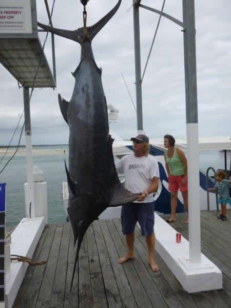 ANGLER: Joel Oliver SPECIES: Blue Marlin  WEIGHT: 182.2 Kg. LURE: JB Lures, Pink Evil Chopper