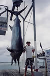 Dave Venn's 520 lb Black Marlin taken aboard Liberty during White Sands Tournament 2000