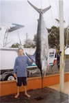 Steve Gill with a 135 Kg Striped Marlin on “Little Dingo” lure. (19kb)
