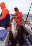 ANGLER: Crash Blamey. SPEICES: Yellowfin Tuna. WEIGHT: 66 Kg.