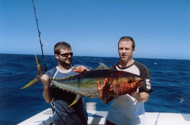 Steve Gill with his 28 Kg Yellowfin on “Little Ripper” lure.