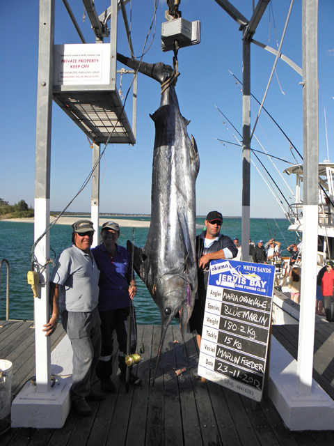ANGLER: Maria Carnevale SPECIES: Blue Marlin WEIGHT: 180.2 Kg