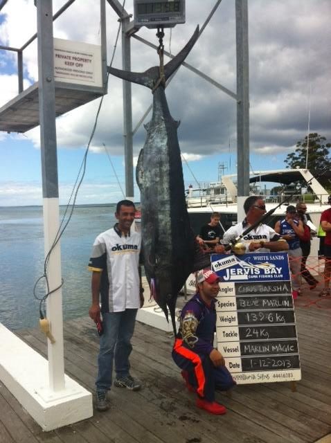 ANGLER: Chris Barsha SPECIES: Blue Marlin  WEIGHT: 139.6 Kg. LURE: JB Lures, Dingo - Purple Head - Lilac Skirt