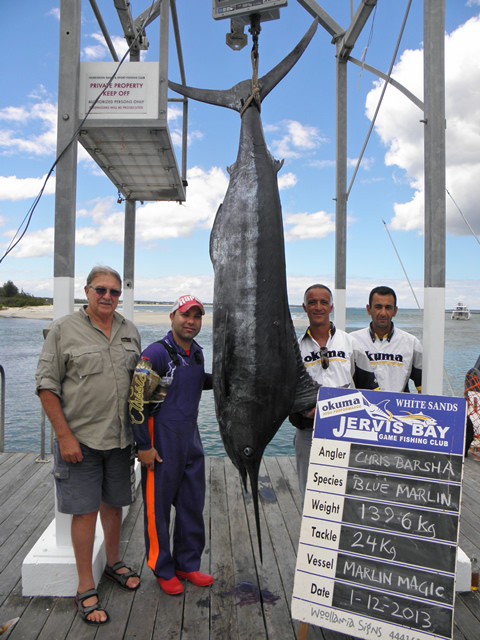 ANGLER: Chris Barsha SPECIES: Blue Marlin  WEIGHT: 139.6 Kg. LURE: JB Lures, Dingo - Purple Head - Lilac Skirt