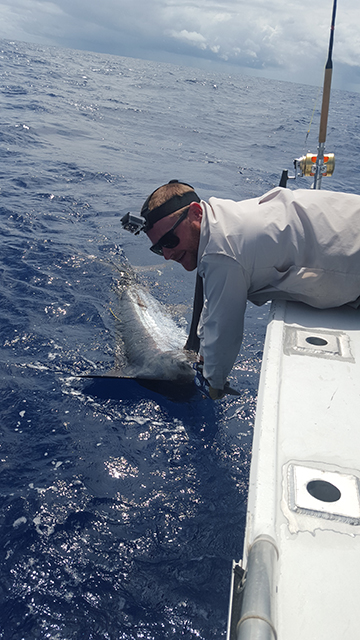 ANGLER: Russell Emms SPECIES: Blue Marlin
WEIGHT: est 150kg LURE: JB Lures 10" Dingo in "Lumo"