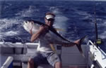 Wade Norman on Far Out captured a 30 Kg Yellowfin during 2004 White Sands Tournament
with a 