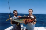 Steve Gill with his 28 Kg Yellowfin on “Little Ripper” lure. (29kb)