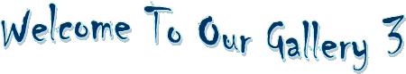 Gallery 3 logo